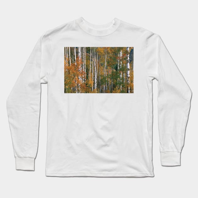 Quaking Aspen Trees In Fall Colors Lost Lake Gunnison National Fores Long Sleeve T-Shirt by AinisticGina